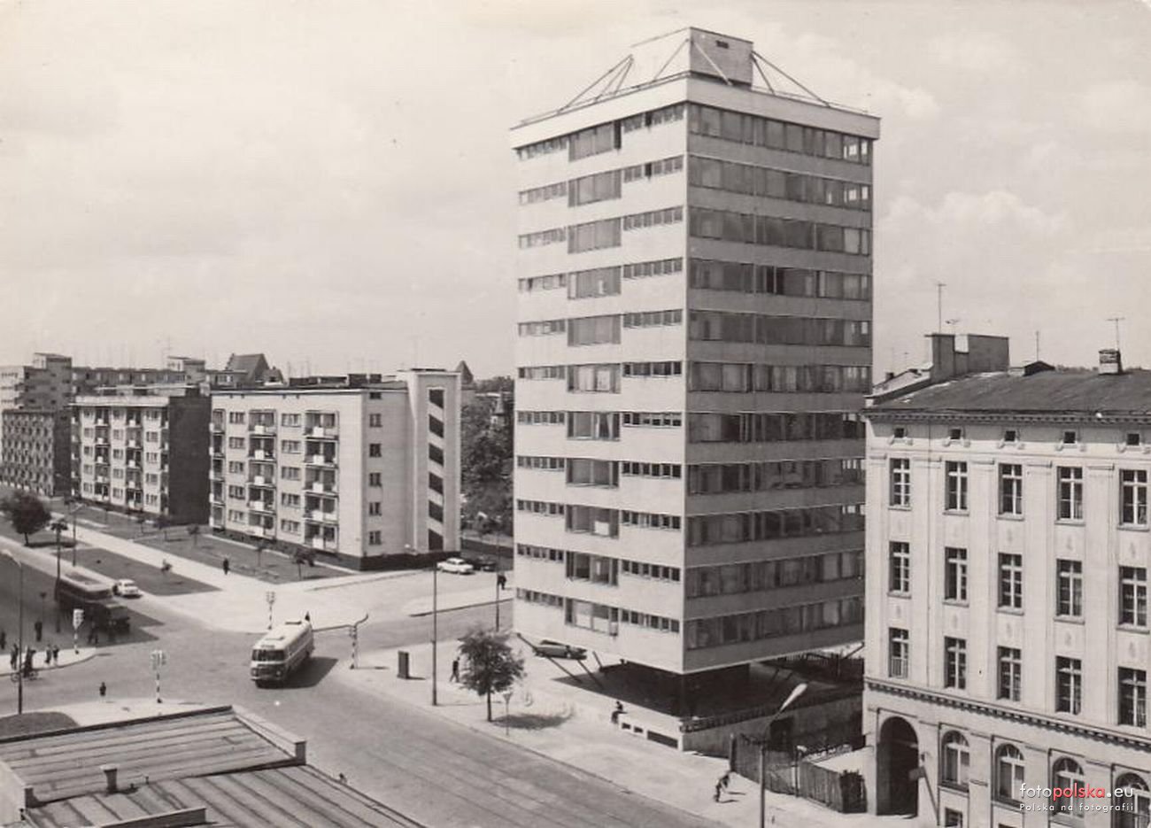 Trzonolinowiec